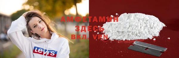 ГАЛЛЮЦИНОГЕННЫЕ ГРИБЫ Вязники