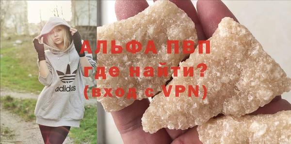 ГАЛЛЮЦИНОГЕННЫЕ ГРИБЫ Вязники